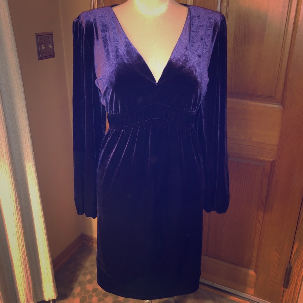 Velvet Dress